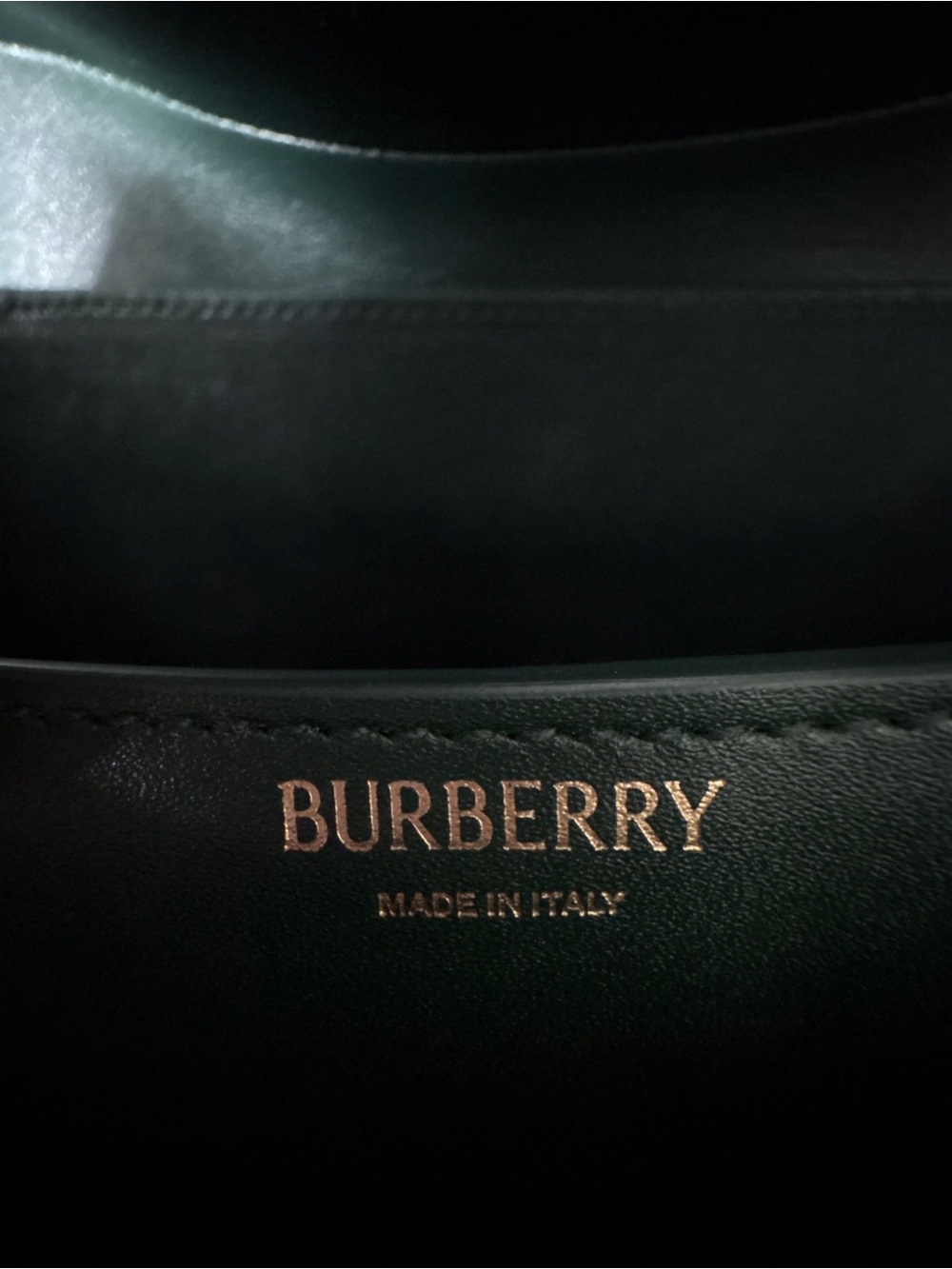 Burberry Green rocking horse Crossbody with Gold Hardware - Picture 4 of 7